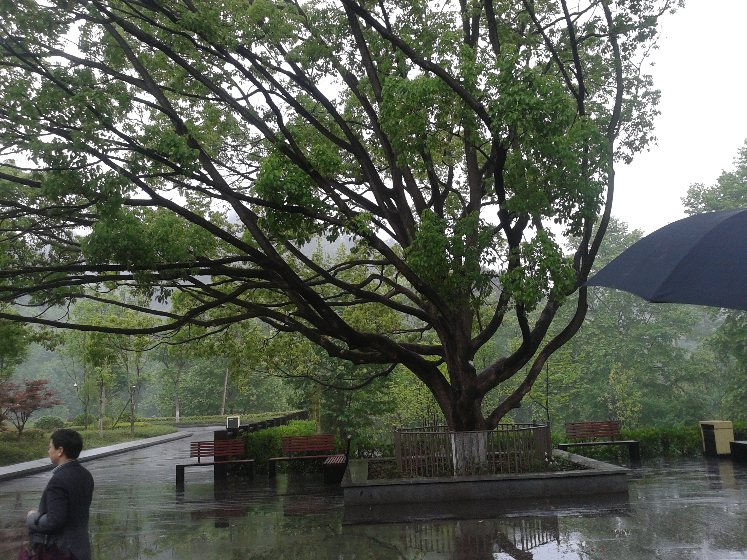 阿哈湖有什么景点,阿哈湖风景区
