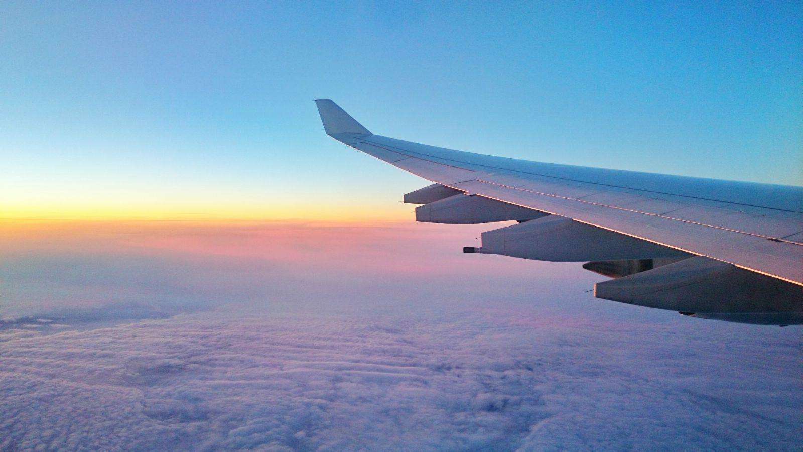 案件聚焦:女子因机票信息错误无法出游,法院判决旅行社返还部分费用