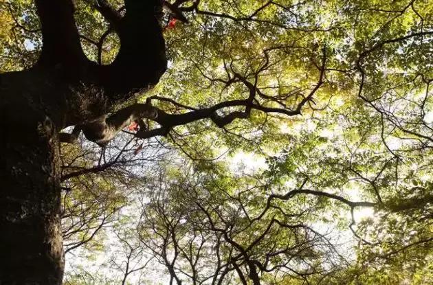 石家庄北戴河旅游景点,去北戴河不容错过的地方