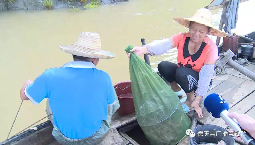 禁渔期还有钓鱼的吗,禁渔之后鱼多了吗