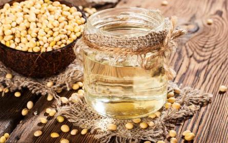 20升大豆油现在多少钱一斤,大豆油每斤的成本有多少