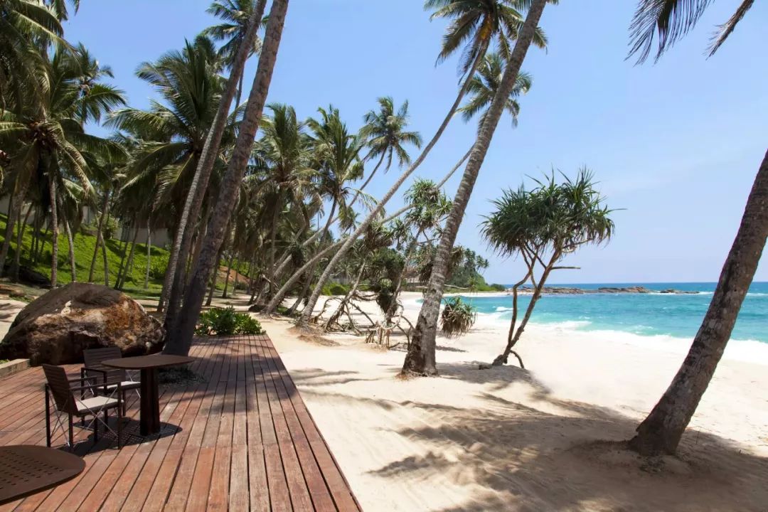 安缦东京度假村,东京安缦度假村