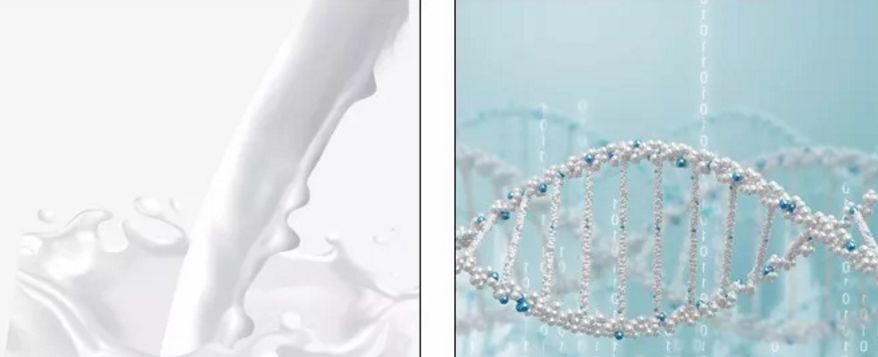 冰岛面膜好物推荐,深海白珍珠面膜