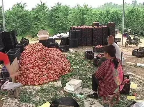 河南周口丢孩子的事件最新消息,河南杀人抢婴儿事件