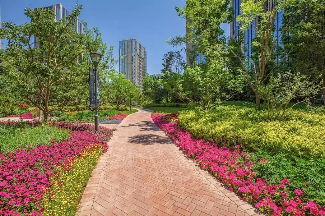 “国际庄”神盘的存在，并非偶然