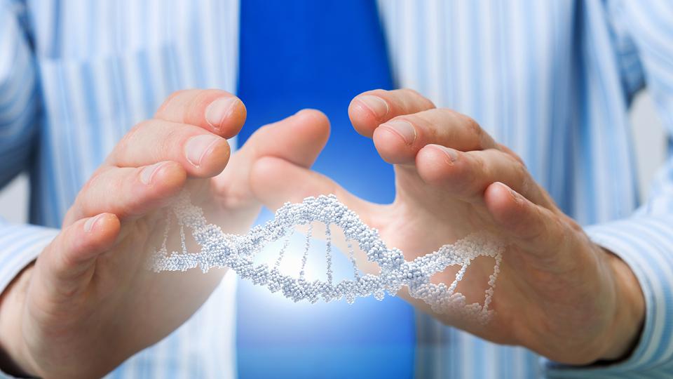 忠于健康,姿美堂集团简介