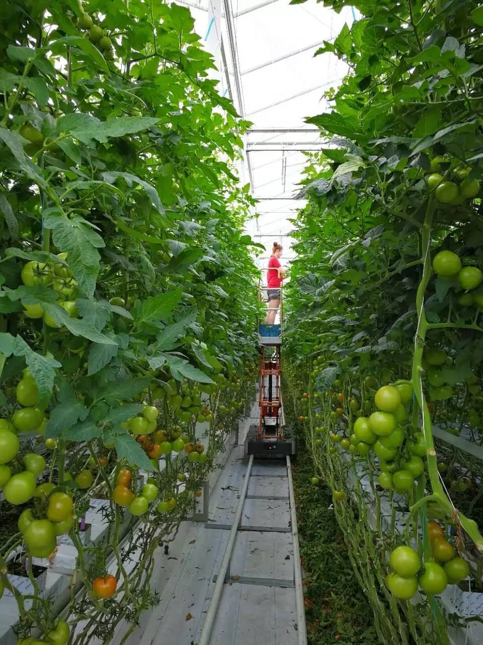 这几个数字，就知道为何4万平方公里的土地，农产品出口世界第二