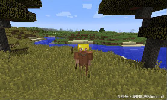 我的世界游戏史蒂夫怎么拿盾牌,我的世界史蒂夫案件