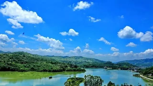 盘点梅西在足球场上,足坛里的梅西视频