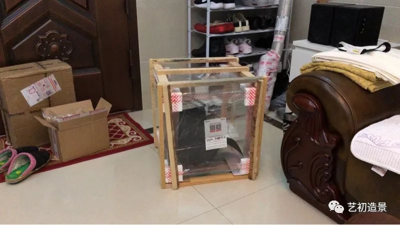 虾虎缸造景要什么过滤器,虾虎缸用什么石头造景好