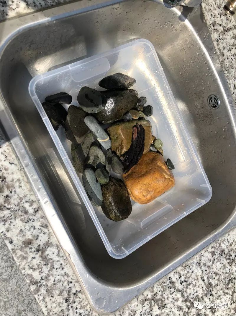 虾虎缸造景要什么过滤器,虾虎缸用什么石头造景好