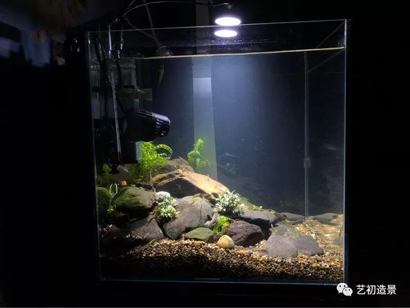 虾虎缸造景要什么过滤器,虾虎缸用什么石头造景好