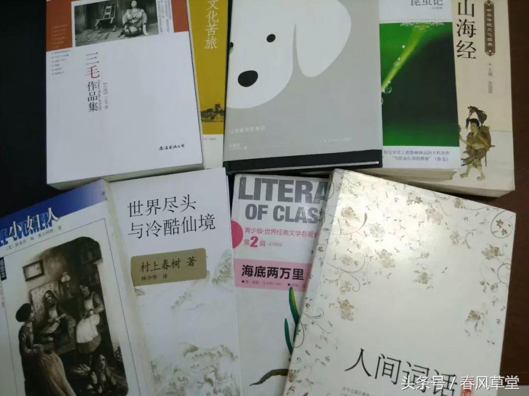 雨后复斜阳关山阵阵苍的前一句,雨后复斜阳关山阵阵苍是什么意思