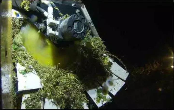 国外让人惊叹的农机收割葡萄,德国收割机收葡萄视频