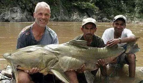 小到钻丁丁，大到吞活人，这片贝爷看了都瑟瑟发抖！