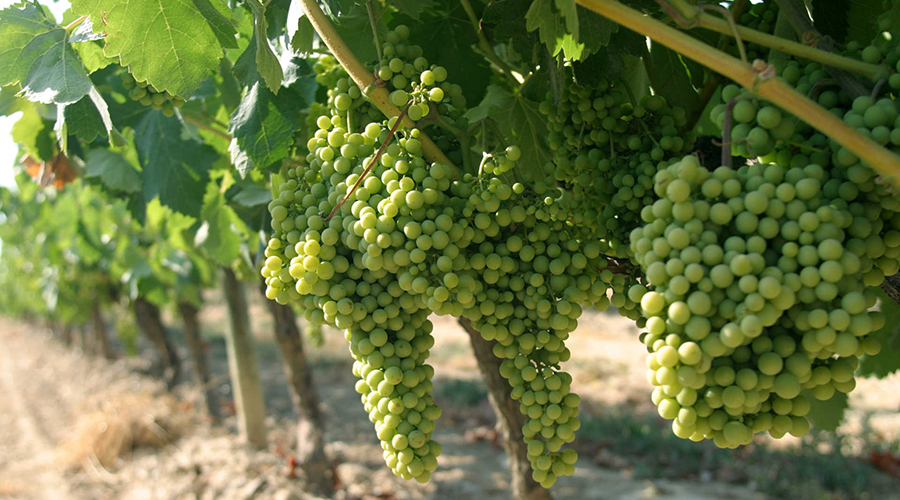 世界的尽头在哪里阿根廷,迷人的世界dj歌曲