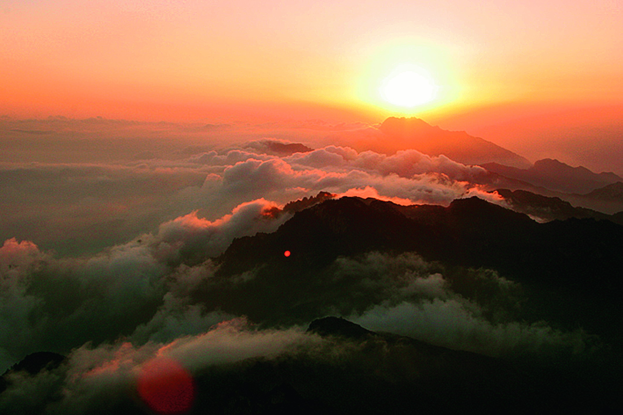 白云山森林氧吧图片,栾川白云山森林氧吧