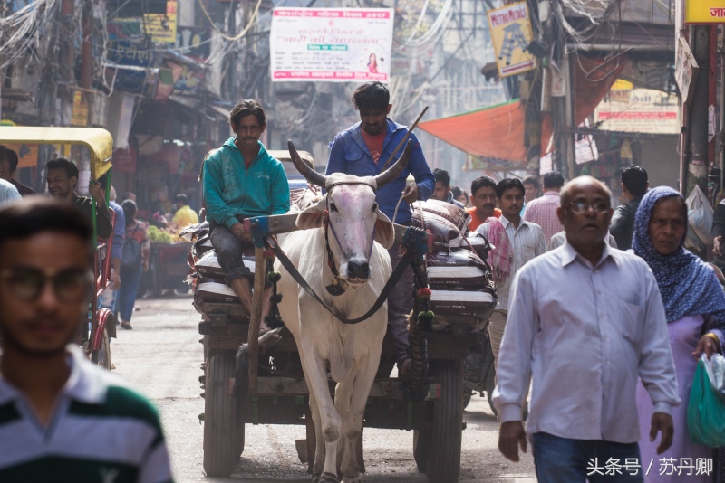 印度人脏到什么程度,为什么印度人看起来那么脏
