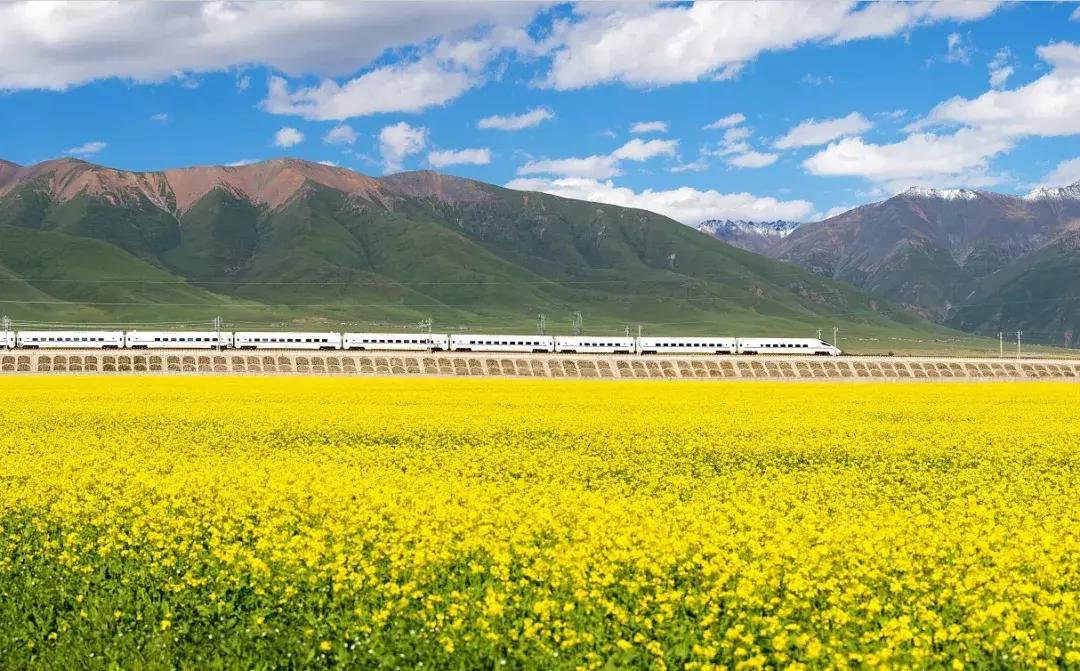 呼和浩特始发列车最新消息,呼和浩特地铁站发车时间表