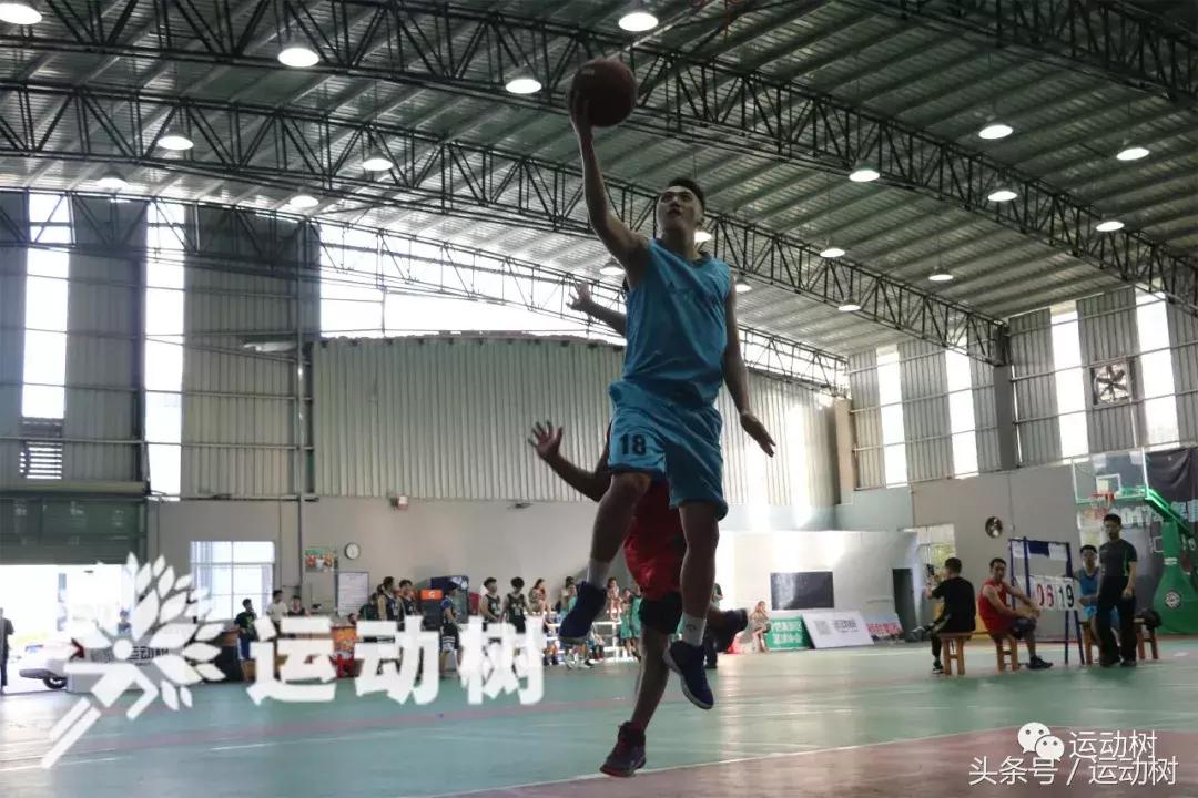 篮球嘉年华总决赛,篮球嘉年华总决赛谁赢了