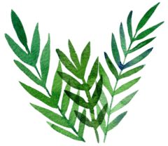 月经有四种颜色代表女性健康情况,通过月经颜色判断身体出现的问题