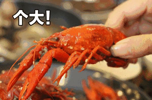 明起，电音+啤酒+美食狂欢将嗨爆宁波潮汇中心！现场送福利！