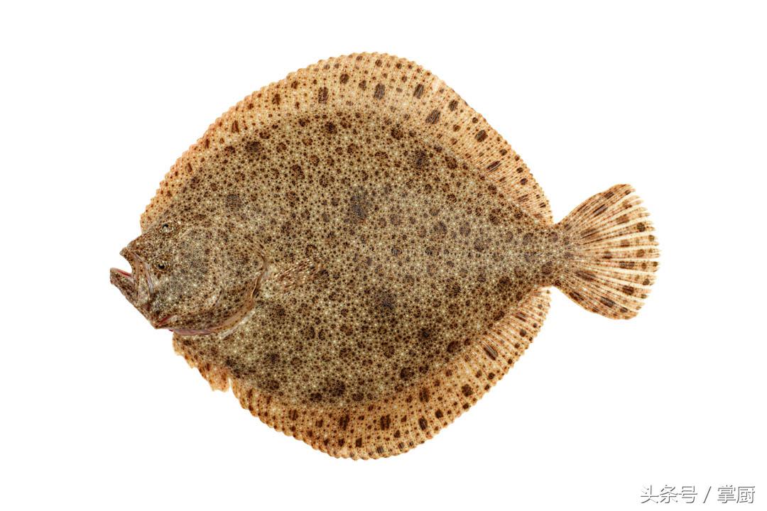 多宝鱼做法清蒸料汁没有蒸鱼豉油,清蒸多宝鱼用什么品牌蒸鱼豉油好