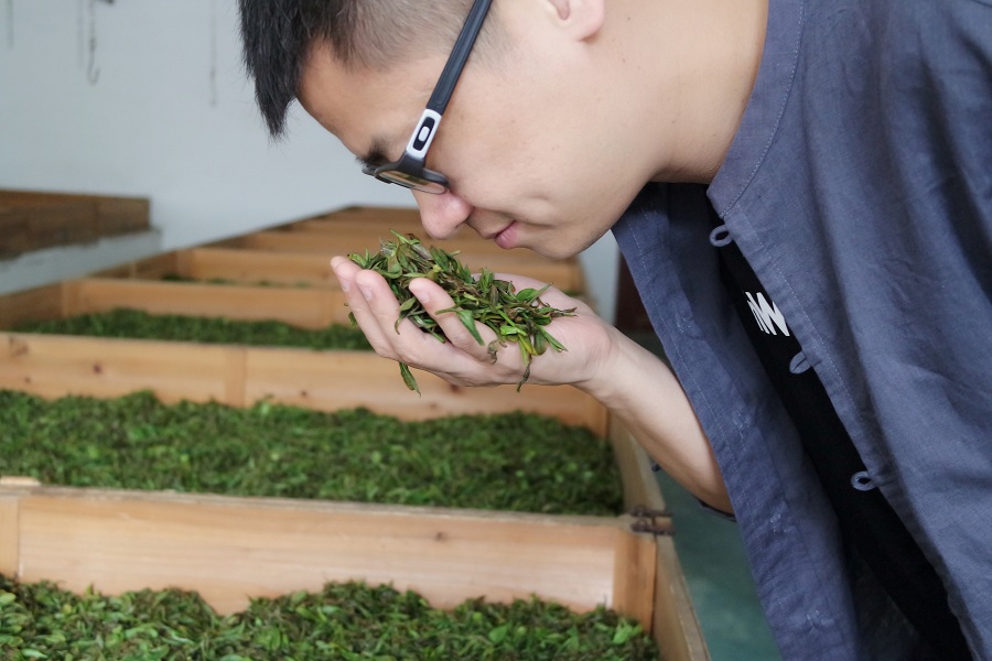 易悦创始人,易悦创始人是谁