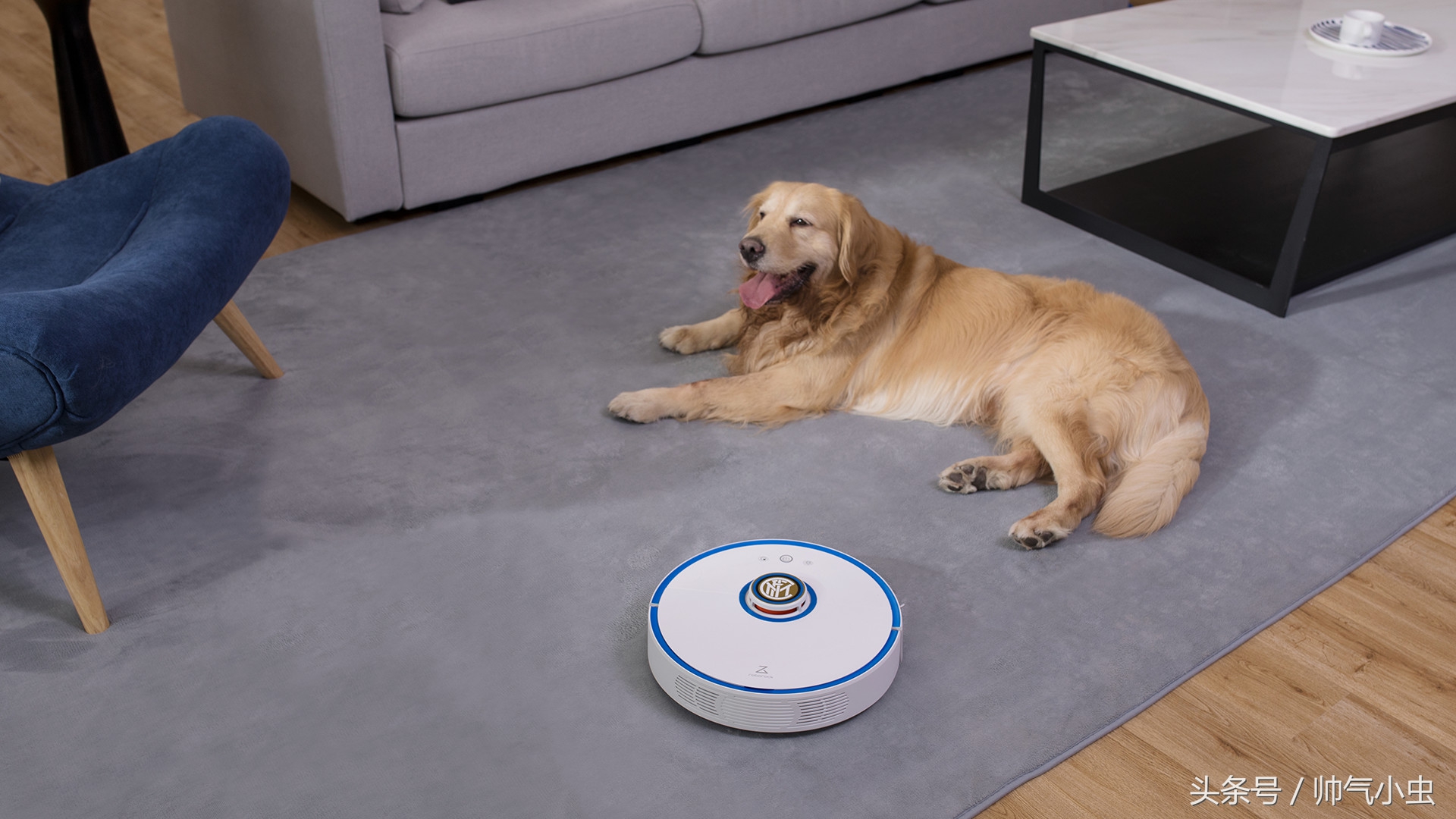 小米生态链怎么合作的,国米小米合作