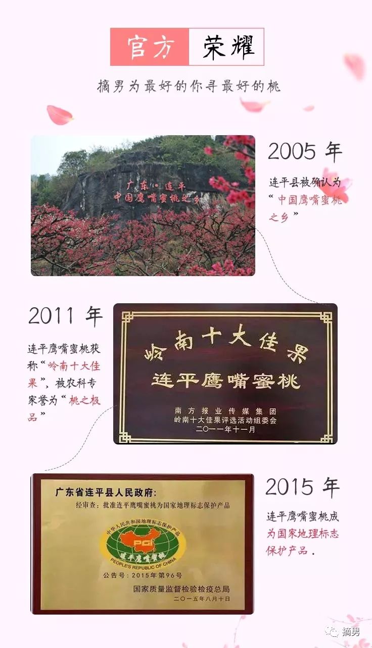 又脆又甜连平鹰嘴桃,连平正宗鹰嘴桃