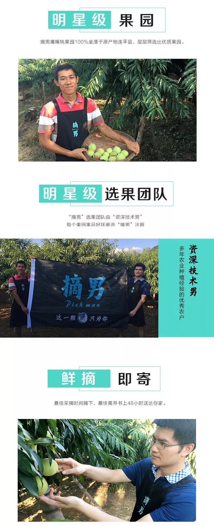 又脆又甜连平鹰嘴桃,连平正宗鹰嘴桃