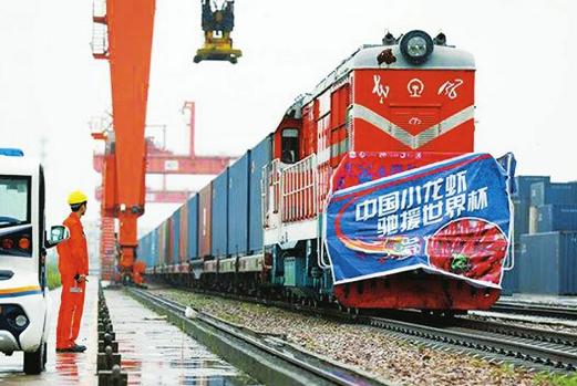 白岩松骂国足,白岩松对国足的态度