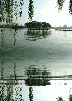 济南居然藏着那么多“第一”，老师儿你发现没