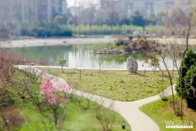 陕西高校｜来到陕师大，一起做最亮的闪star吧！