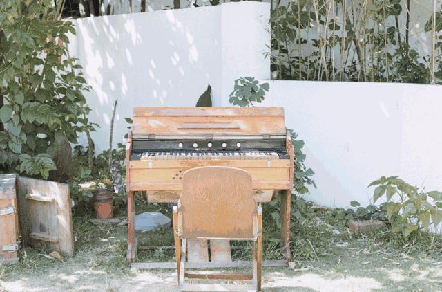 去成都上大学需要给孩子准备什么,去成都读大学有什么要注意的