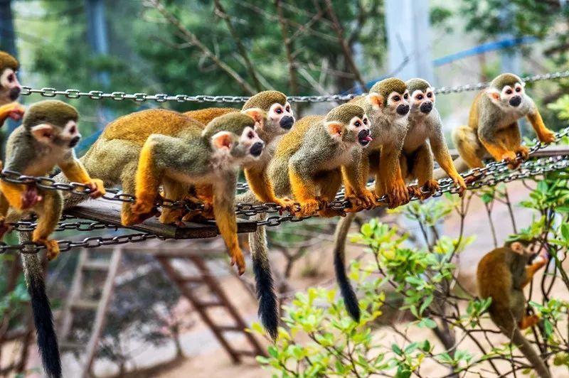 重庆乐和乐都及周边玩耍攻略,重庆乐和乐都的游玩设施