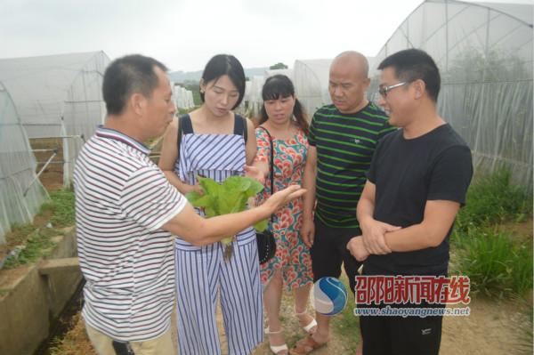 新邵调度河东四乡镇脱贫攻坚工作,政协视察农村农业座谈发言