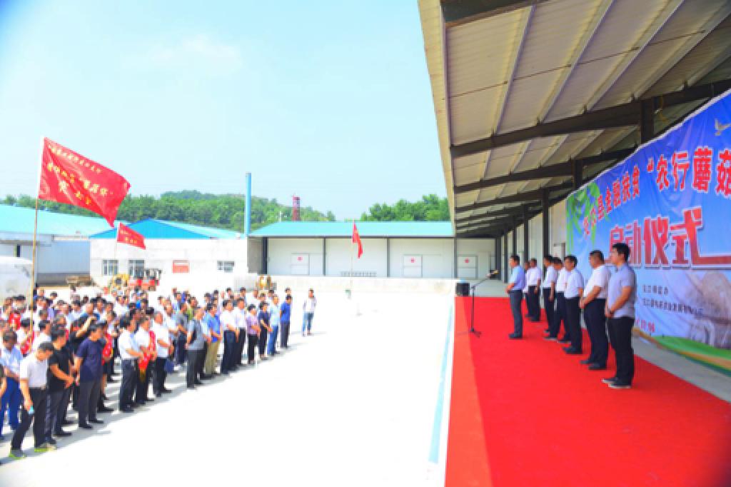 鑴辫传鏀诲潥鏀跨瓥灏忛淇¤捶,鑴辫传鏀诲潥灏忛淇¤捶鏀跨瓥