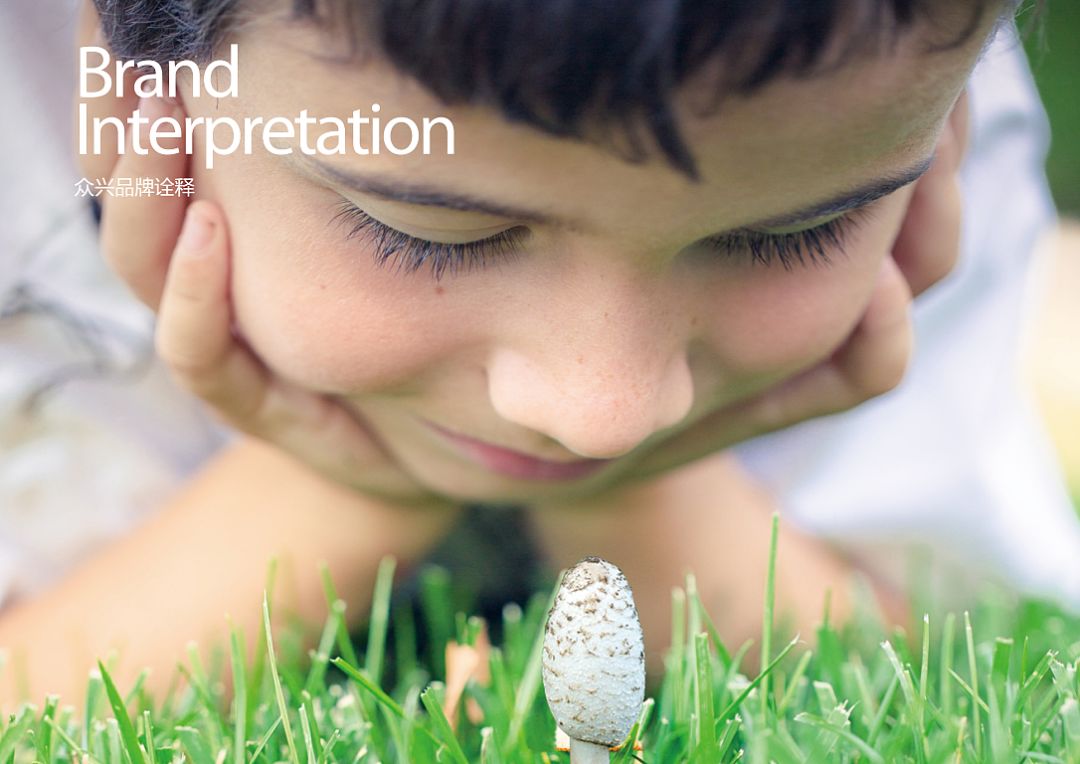 众兴菌业亏损多少,众兴菌业为什么天天跌