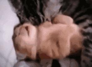 睡觉时小奶猫做噩梦，猫妈妈紧紧搂住：宝宝别怕，有妈妈在呢