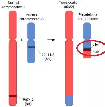 神药治百病真相,特效药为什么那么神奇