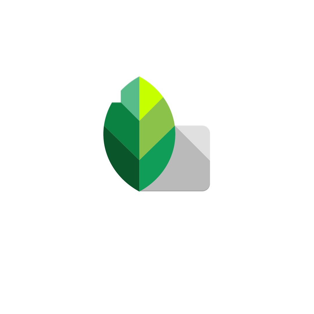 手机修图软件功能讲解,小叶子修图软件app主要功能