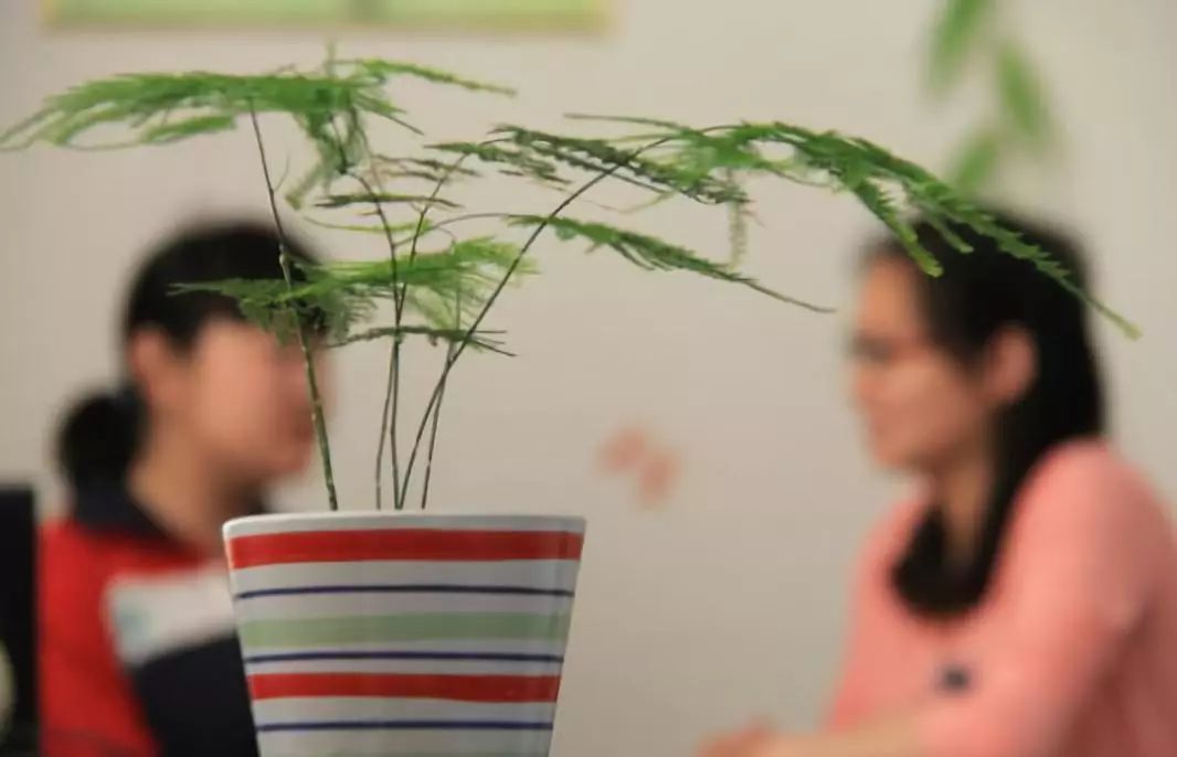 一断就痛苦得要死，总是戒不掉，该不该去戒毒医院治疗下？