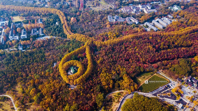 盘点被抖音带火的旅游城市,南京有啥小众好玩的