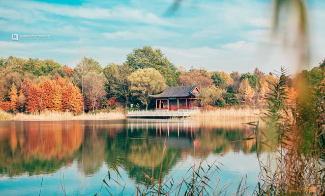 盘点被抖音带火的旅游城市,南京有啥小众好玩的