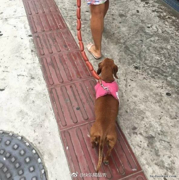 重回90年代靠卖小龙虾发家致富,90后卖鱼小伙年入千万