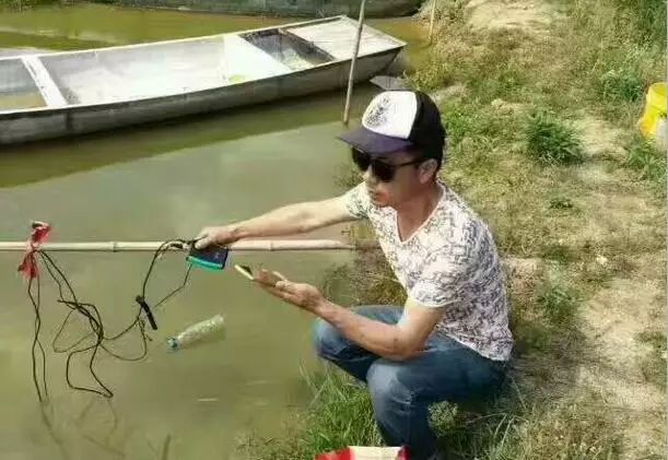 蟹塘有蓝藻用什么肥水,蟹塘有小龙虾怎么防止发病