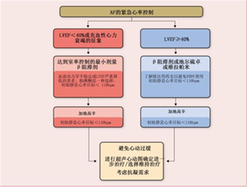 房颤静息心率的控制目标,房颤常用控制心室率药物