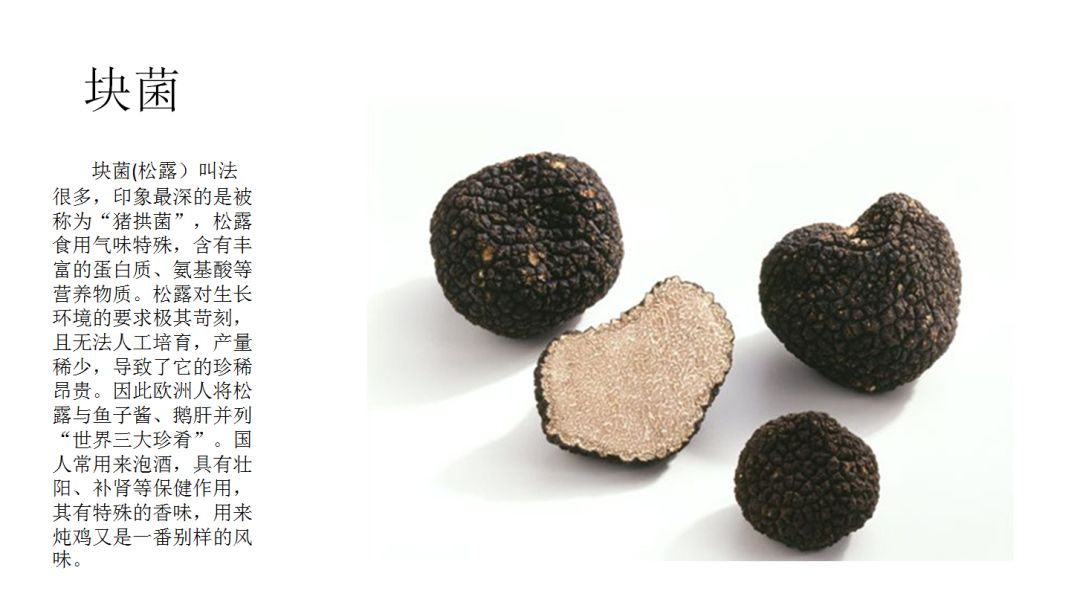 云南又到“生死存亡”季！为啥年年有人冒死吃这货？看过来！