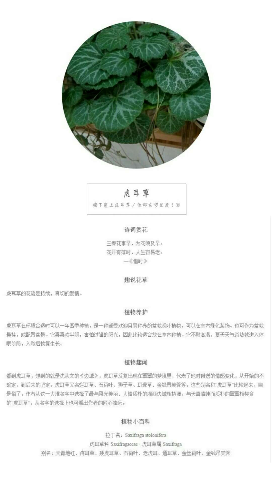 实习三天未签到,实习迟到了3次